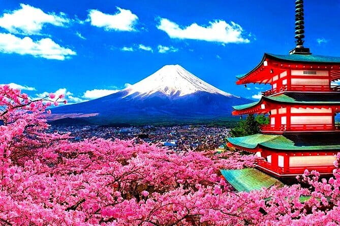 English-speaking guided day tour of Nikko with a private vehicle - Irohazaka and the climb into the mountains