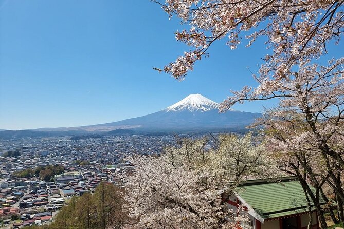 Enjoy Mt. Fuji View and free time shopping at Gotemba Outlets! - Oishi Park beside Lake Kawaguchi