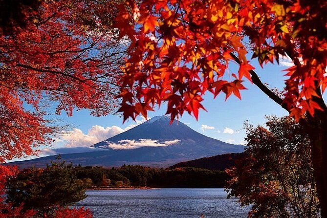Enjoy Mt. Fuji View and free time shopping at Gotemba Outlets! - Gotemba Premium Outlets and 100 minutes of free time