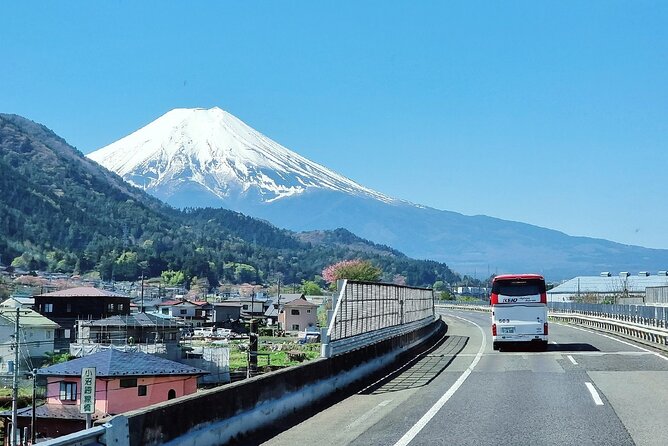 Enjoy Mt. Fuji View and free time shopping at Gotemba Outlets! - Arakura Fuji Sengen Shrine and the 300-step climb
