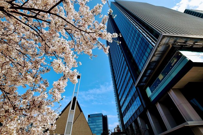 Essential tour for fashion and art in Tokyo for 6 hours with local lunch - Shibuya Cat Street: a more relaxed style stop
