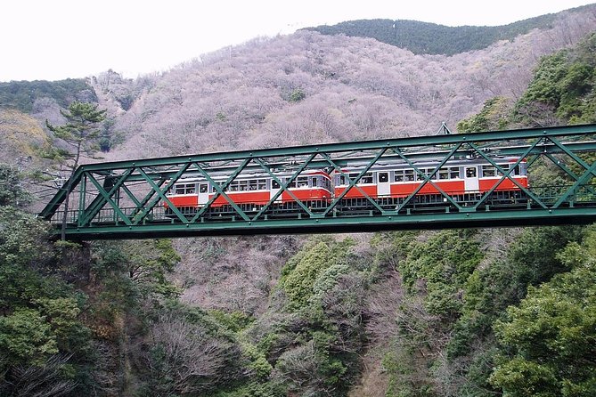 Exciting Hakone - One Day Tour from Tokyo - Why this Hakone day works from Tokyo