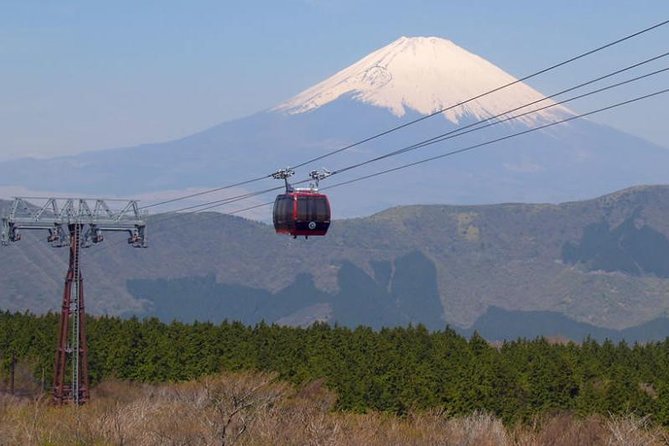 Exciting Hakone - One Day Tour from Tokyo - 8:30 a.m. pickup and the Shinkansen to Odawara