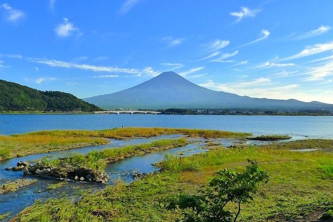 Experience the Stunning Nature of Mt.Fuji - Private Tour - Oishi Park and the flower-filled lakeshore
