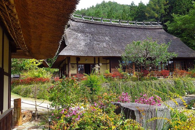 Experience the Stunning Nature of Mt.Fuji - Private Tour - Quiet Lake Saiko beside Aokigahara