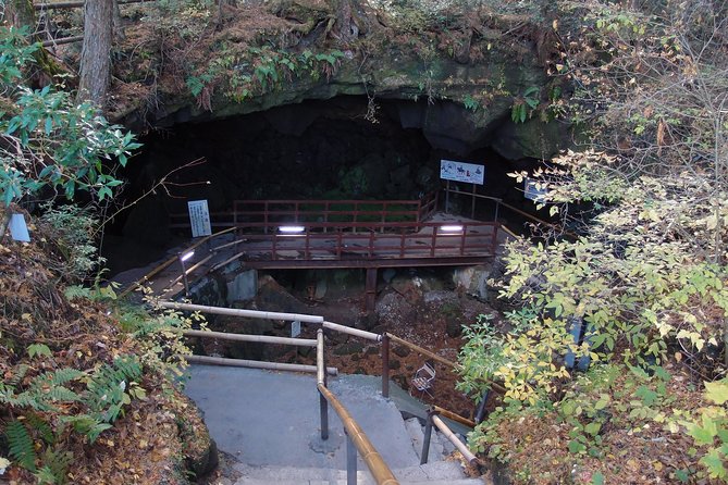 Experience the Stunning Nature of Mt.Fuji - Private Tour - Iyashi no Sato Nemba’s reconstructed village