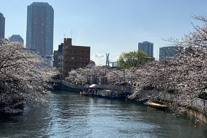 Explore Local Tokyo: Buddhism & Shinto - Starting with a cafe presentation