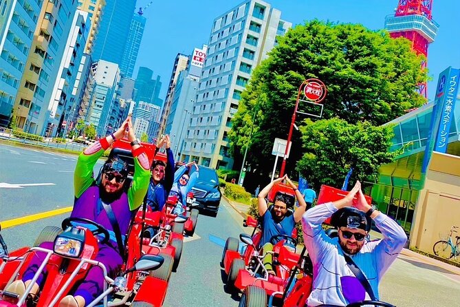 Flagship 2-Hours Official Street Go-Kart Tour - Tokyo Bay Shop - Who will enjoy this most