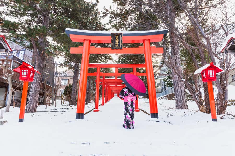 From Osaka: Kyoto & Nara Highlights Day Tour (7 attractions) - A long but efficient day from Osaka