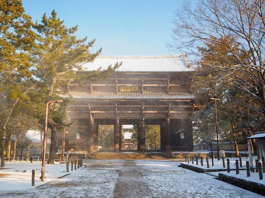 From Osaka: Kyoto & Nara Highlights Day Tour (7 attractions) - Kasugataisha’s lantern paths