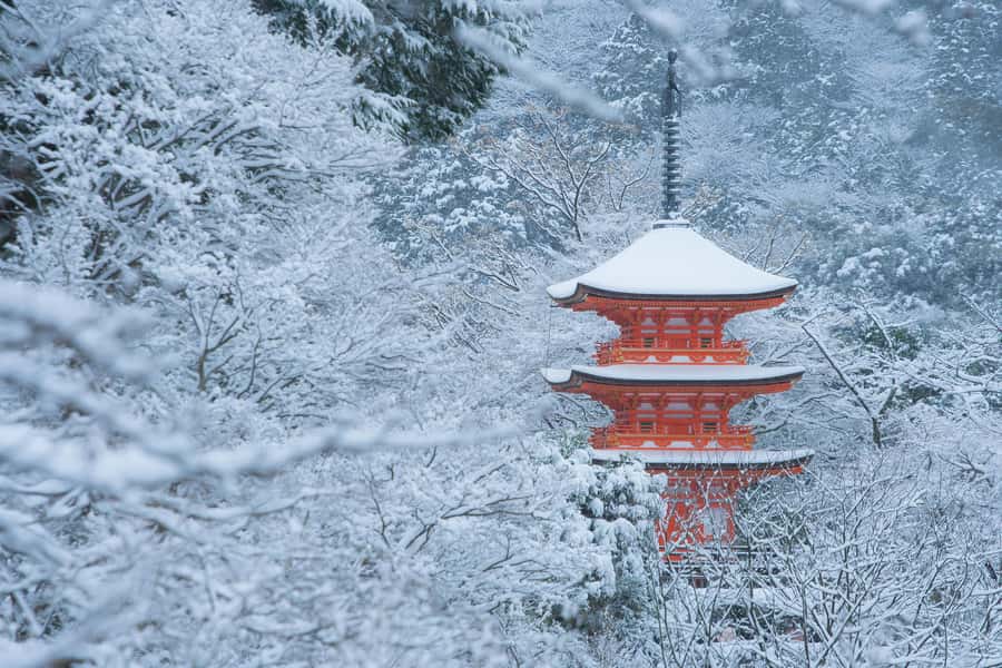 From Osaka: Kyoto & Nara Highlights Day Tour (7 attractions) - Byodoin and the Phoenix Hall in Uji