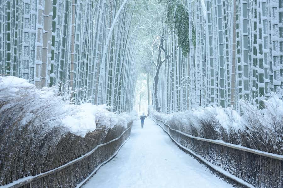 From Osaka: Kyoto & Nara Highlights Day Tour (7 attractions) - What the $53 price really covers