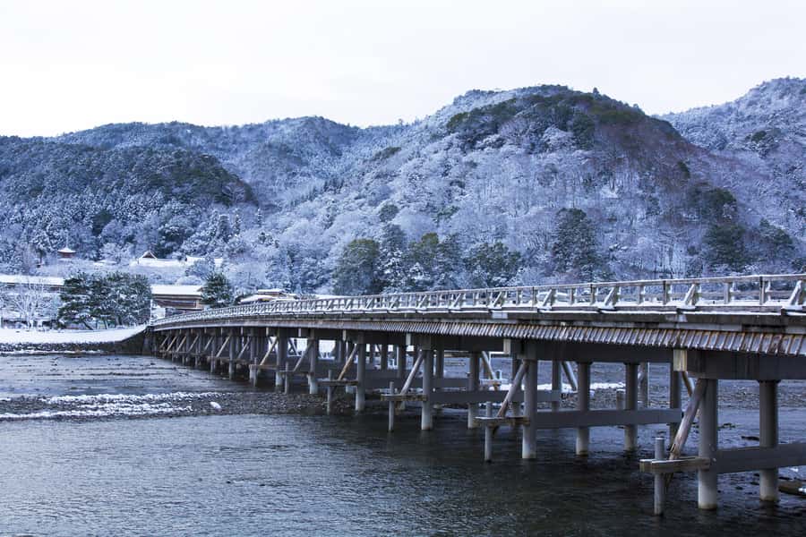 From Osaka: Kyoto & Nara Highlights Day Tour (7 attractions) - Nara Park and the deer