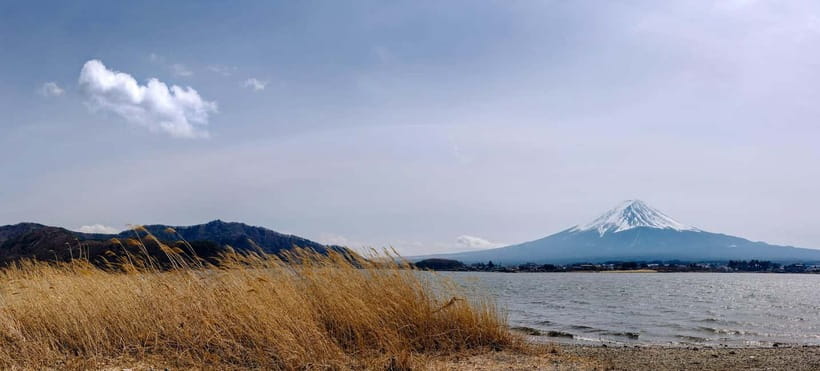 From Tokyo: 1 Full Day Mount fuji Sightseeing Trip - Oishi Park and a possible sunset stop