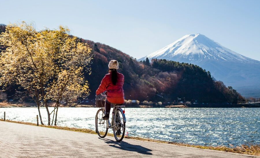 From Tokyo: 1 Full Day Mount fuji Sightseeing Trip - Mount Fuji 5th Station and the seasonal catch