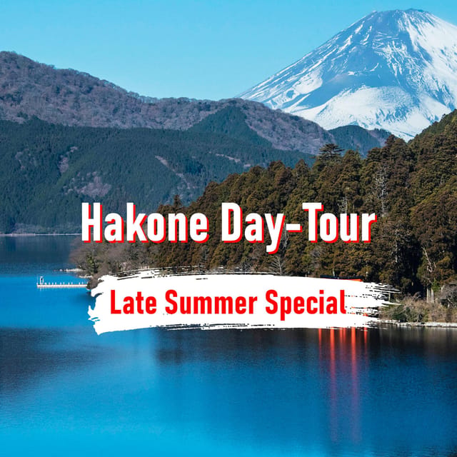 From Tokyo: 10-hour Hakone Private Custom Tour - Lake Ashi and the Hakone Shrine