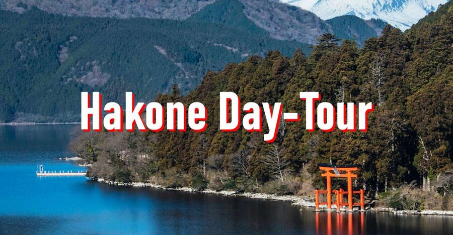 From Tokyo: 10-hour Hakone Private Custom Tour - Car comfort, parking, and language support