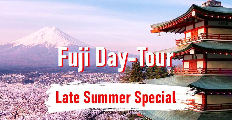 From Tokyo: 10-hour Mount Fuji Private Customizable Tour - Choosing your Mount Fuji stops