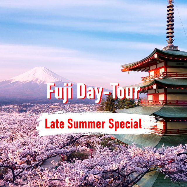 From Tokyo: 10-hour Mount Fuji Private Customizable Tour - Weather, crowds, and the Fuji view