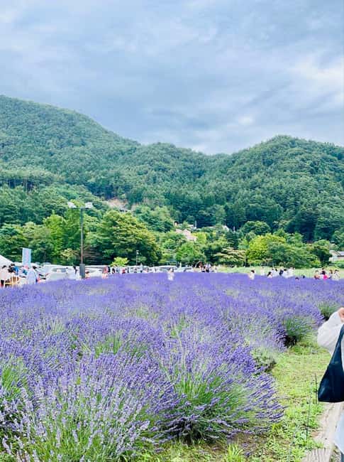 From Tokyo: Full-Day Mount Fuji Tour in English or Spanish - Key points to know before booking