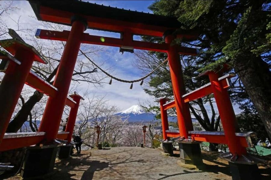 From Tokyo: Full-Day Mount Fuji Tour in English or Spanish - Walking Shimoyoshida Honcho Street beneath Fuji