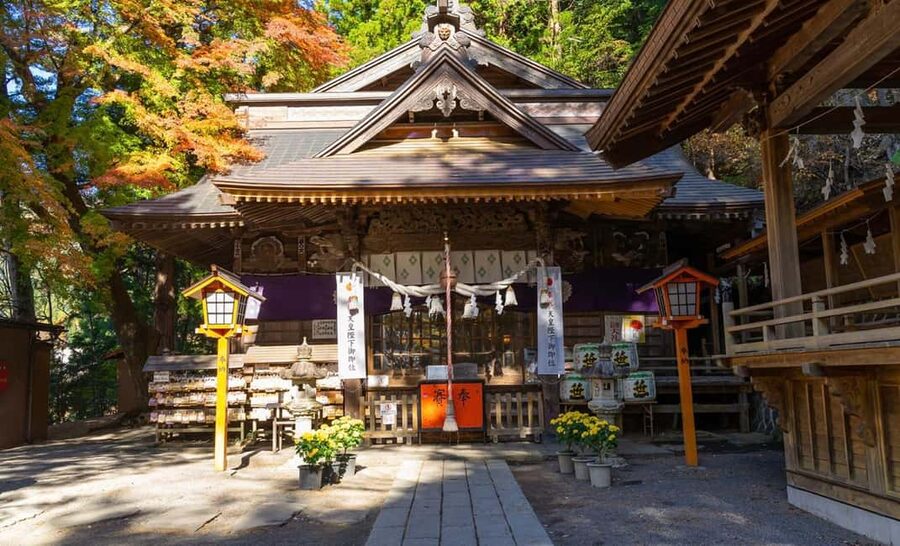 From Tokyo: Full-Day Mount Fuji Tour in English or Spanish - The Mount Fuji fifth station question