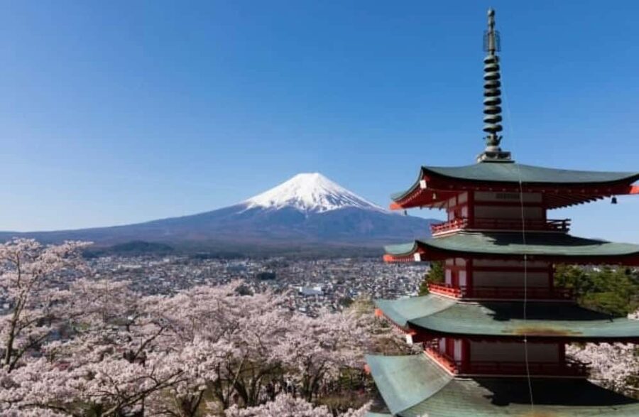From Tokyo: Full-Day Mount Fuji Tour in English or Spanish - Is $90 a fair price?