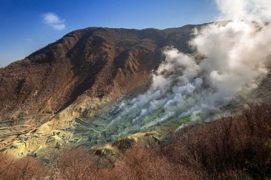 From Tokyo: Hakone and Owakudani Private Day Trip - Key points to know before booking