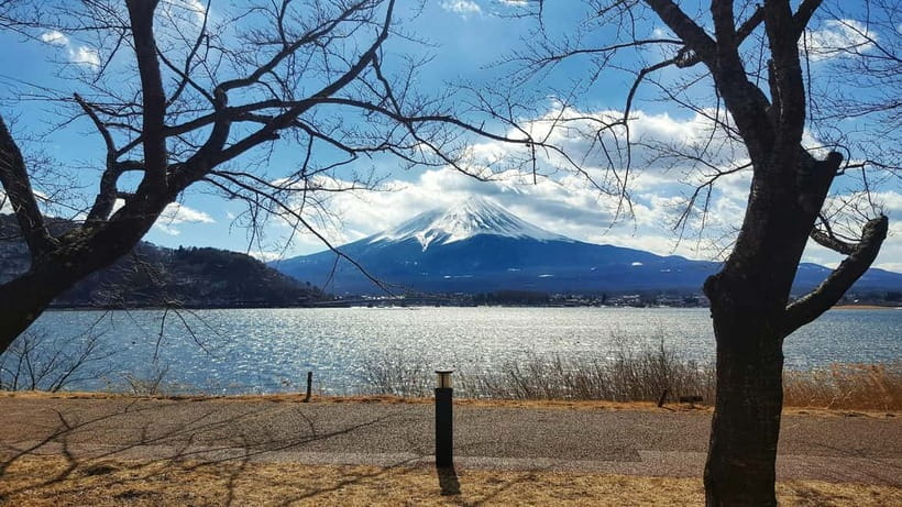 From Tokyo: Hakone Day Trip with English Speaking Driver - Who should book this day trip