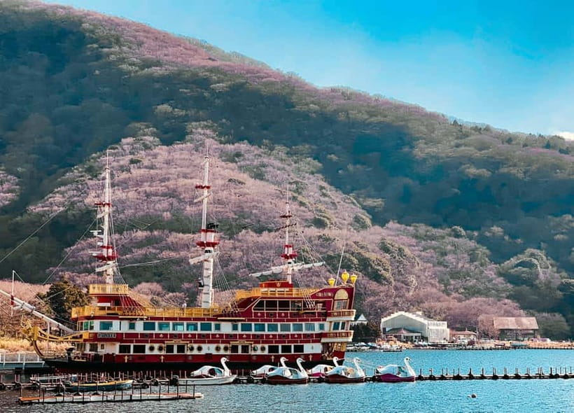 From Tokyo: Hakone Day Trip with English Speaking Driver - Why a private car helps on a nine-hour Hakone day