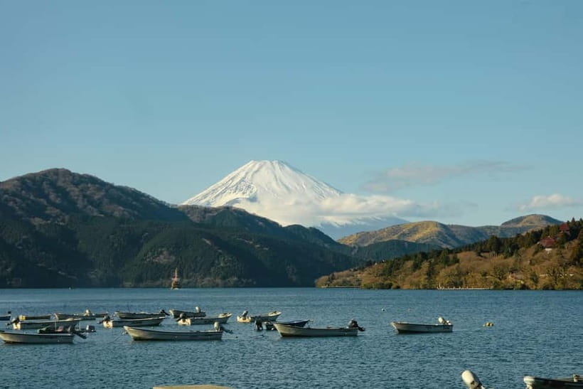 From Tokyo: Hakone Day Trip with English Speaking Driver - The driver can shape the day