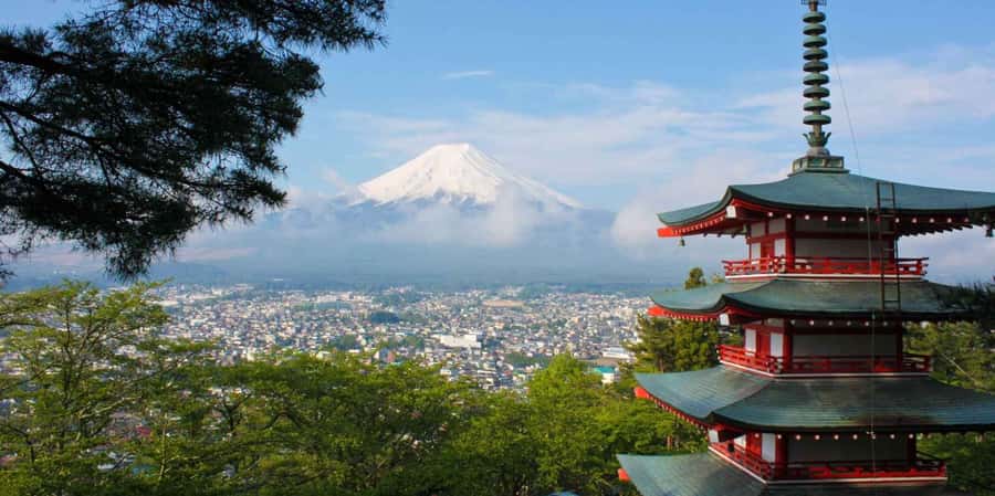 From Tokyo/Hakone/Fuji: Hakone & Mt. Fuji Day Trip w/Pickup - Saiko Iyashi-no-Sato Nenba and old farm life