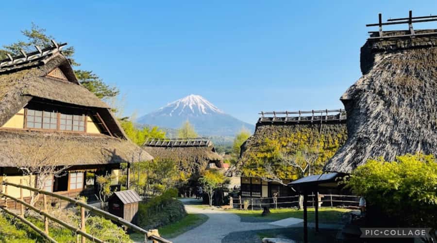 From Tokyo/Hakone/Fuji: Hakone & Mt. Fuji Day Trip w/Pickup - What the $580 price really buys you
