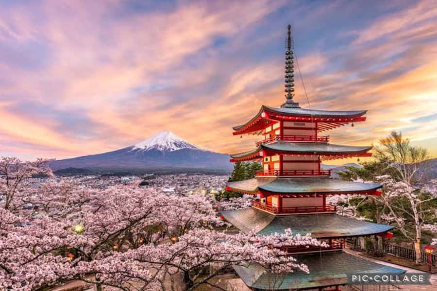 From Tokyo/Hakone/Fuji: Hakone & Mt. Fuji Day Trip w/Pickup - Leaving Tokyo for Hakone