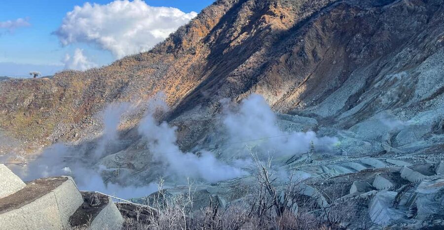 From Tokyo: Hakone Full Day Customizable Private Tour - Why a Private Car Changes the Hakone Day