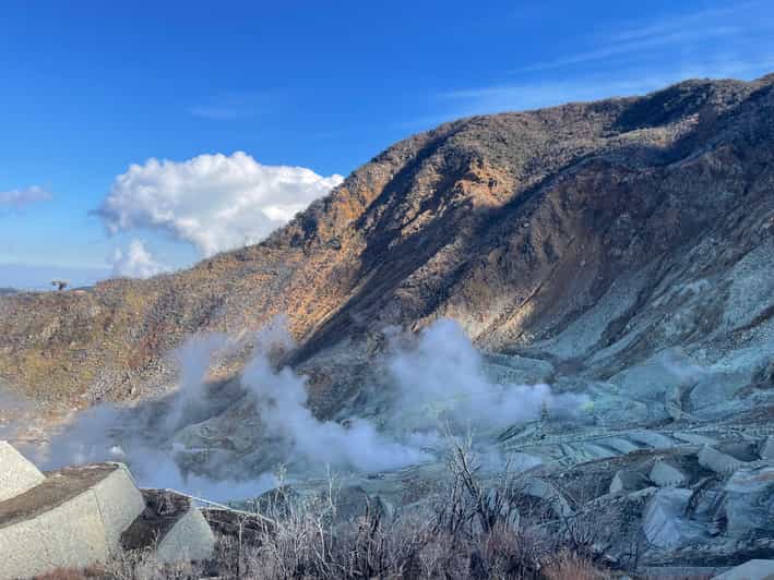 From Tokyo: Hakone Full Day Customizable Private Tour - Hakone Shrine and Its Lakefront Setting