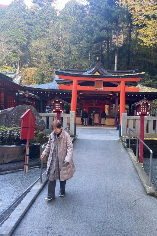 From Tokyo: Hakone Full Day Customizable Private Tour - Owakudani Valley and the Volcano Country