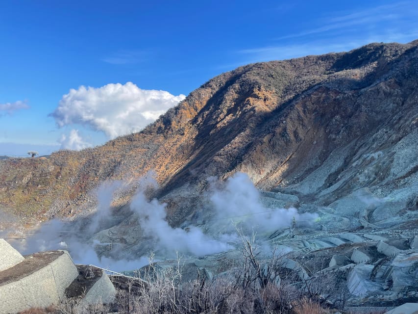 From Tokyo: Hakone Full Day Customizable Private Tour - Lake Ashi and the One-Hour Sightseeing Cruise