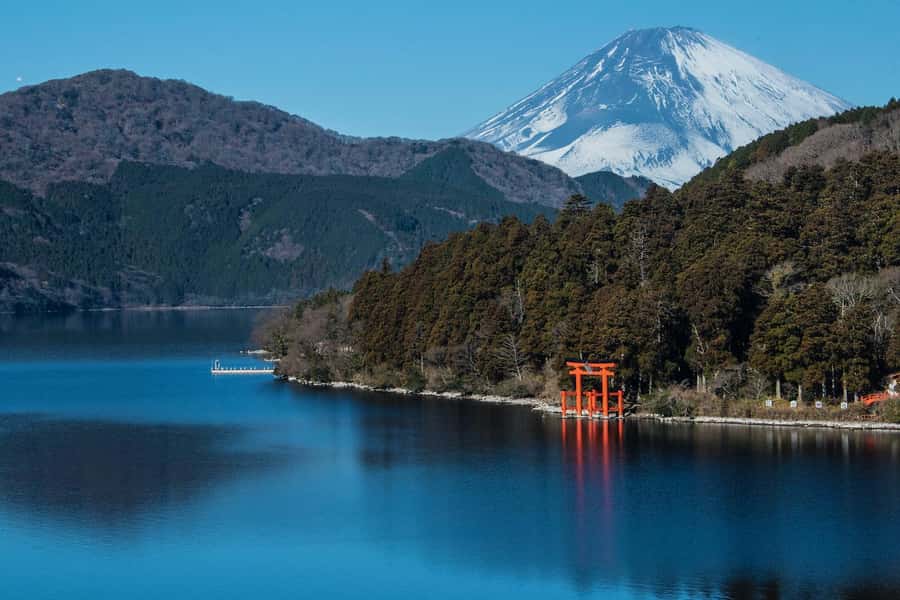 From Tokyo: Hakone Private Sightseeing Day Trip - Why a private Hakone day trip can work well