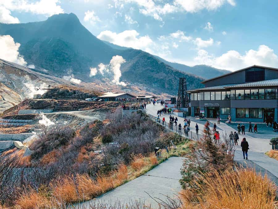 From Tokyo: Hakone Private Sightseeing Day Trip - Lake Ashi, boats, and the Hakone shrine area