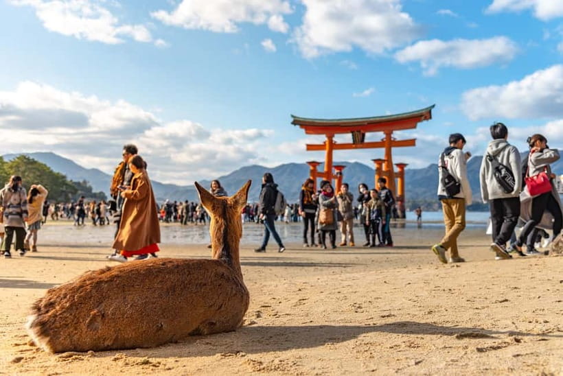 From Tokyo: Hiroshima and Miyajima Day Trip by Bullet Train - A very long day from Shinagawa to Hiroshima