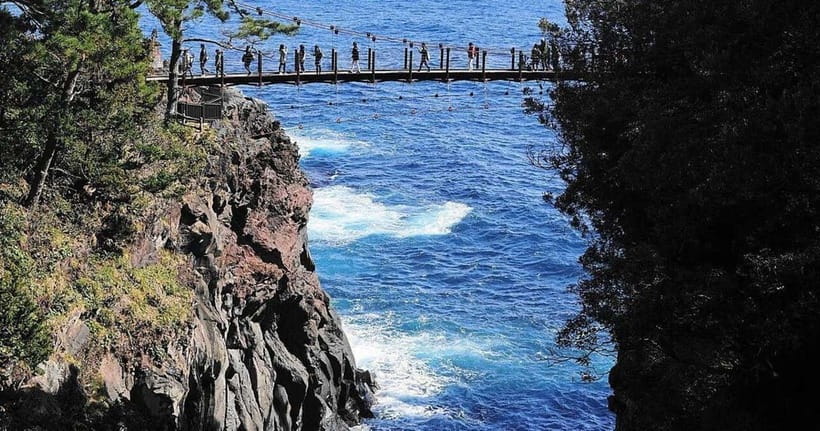 From Tokyo: Izu Omuro Mountain, Jogasaki Coast Day Trip - Key points at a glance
