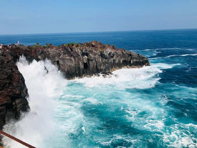From Tokyo: Izu Omuro Mountain, Jogasaki Coast Day Trip - Who should book this Izu day trip?