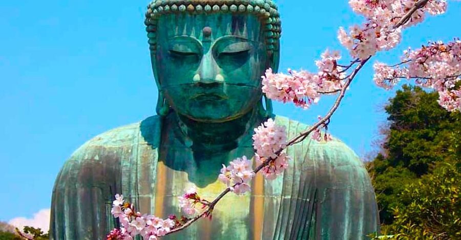 From Tokyo: Kamakura and Enoshima Full-Day Private Trip - Hokokuji Bamboo Forest