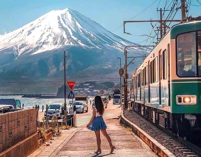 From Tokyo: Kamakura and Enoshima Full-Day Private Trip - Who Will Get the Most from This Day