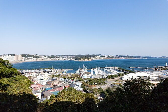 From Tokyo: Kamakura & Enoshima 1-Day Bus Tour - The Great Buddha at Kōtoku-in