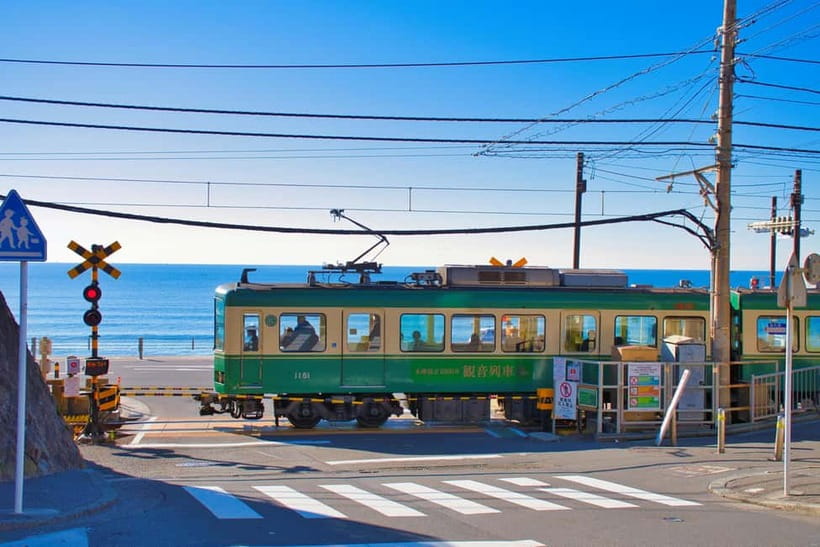 From Tokyo: Kamakura, Great Buddha, and Enoshima Bus Tour - Key points at a glance