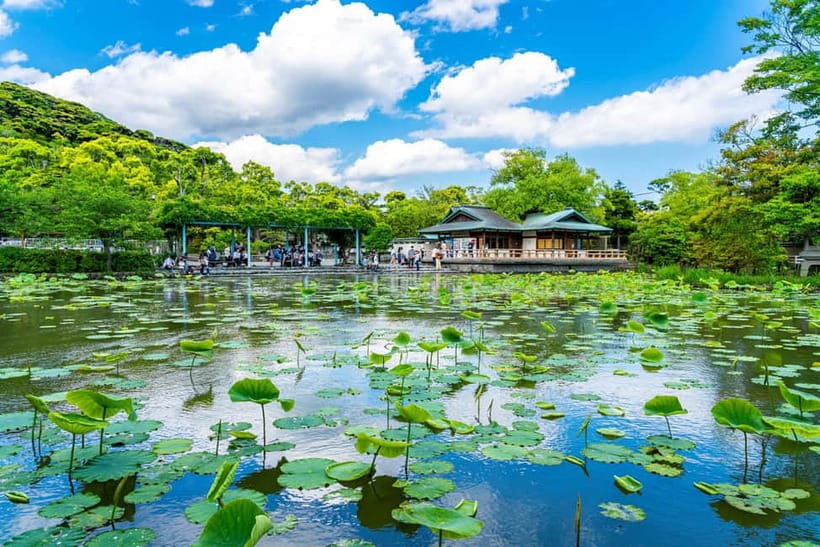 From Tokyo: Kamakura, Great Buddha, and Enoshima Bus Tour - Enoshima, Nakamise-dori, and the sea