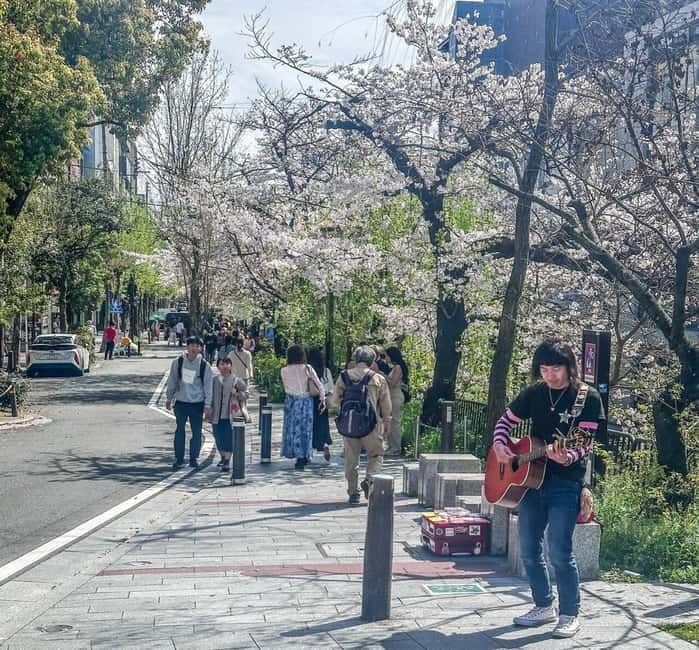 From Tokyo: Kyoto, Mount Fuji, and Hiroshima Guided Tour - Is $667 a fair price?