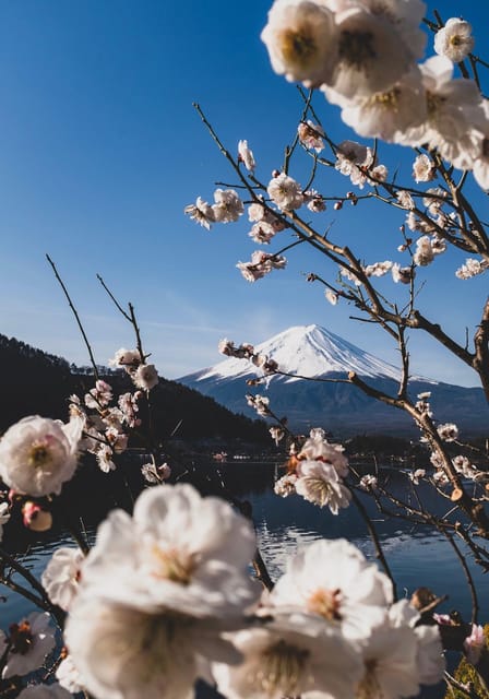 From Tokyo: Mount Fuji and Hakone Private Customize tour - Chureito Pagoda and the view everyone wants